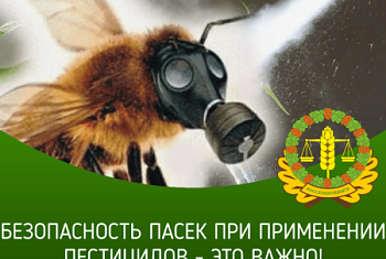 ВНИМАНИЕ ПЧЕЛОВОДЫ И НАСЕЛЕНИЕ С 16 ПО  СЕНТЯБРЯ ПРОВОДИТСЯ ХИМ ОБРАБОТКА