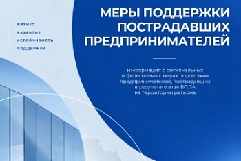 о мерах федеральной и региональной поддержки субъектов предпринимательской деятельности Краснодарского края, пострадавших от атак беспилотных летательных аппаратов на логистические комплексы ООО «РВБ» 