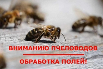 ВНИМАНИЕ ПЧЕЛОВОДЫ И НАСЕЛЕНИЕ, ПРОВОДИТСЯ ХИМ ОБРАБОТКА