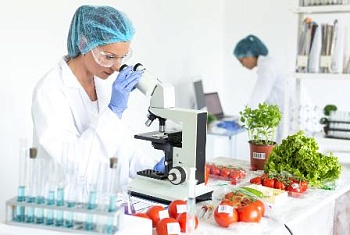 Об исполнении ветеринарных правил при реализации растениеводческой продукции на рынках и ярмарках 